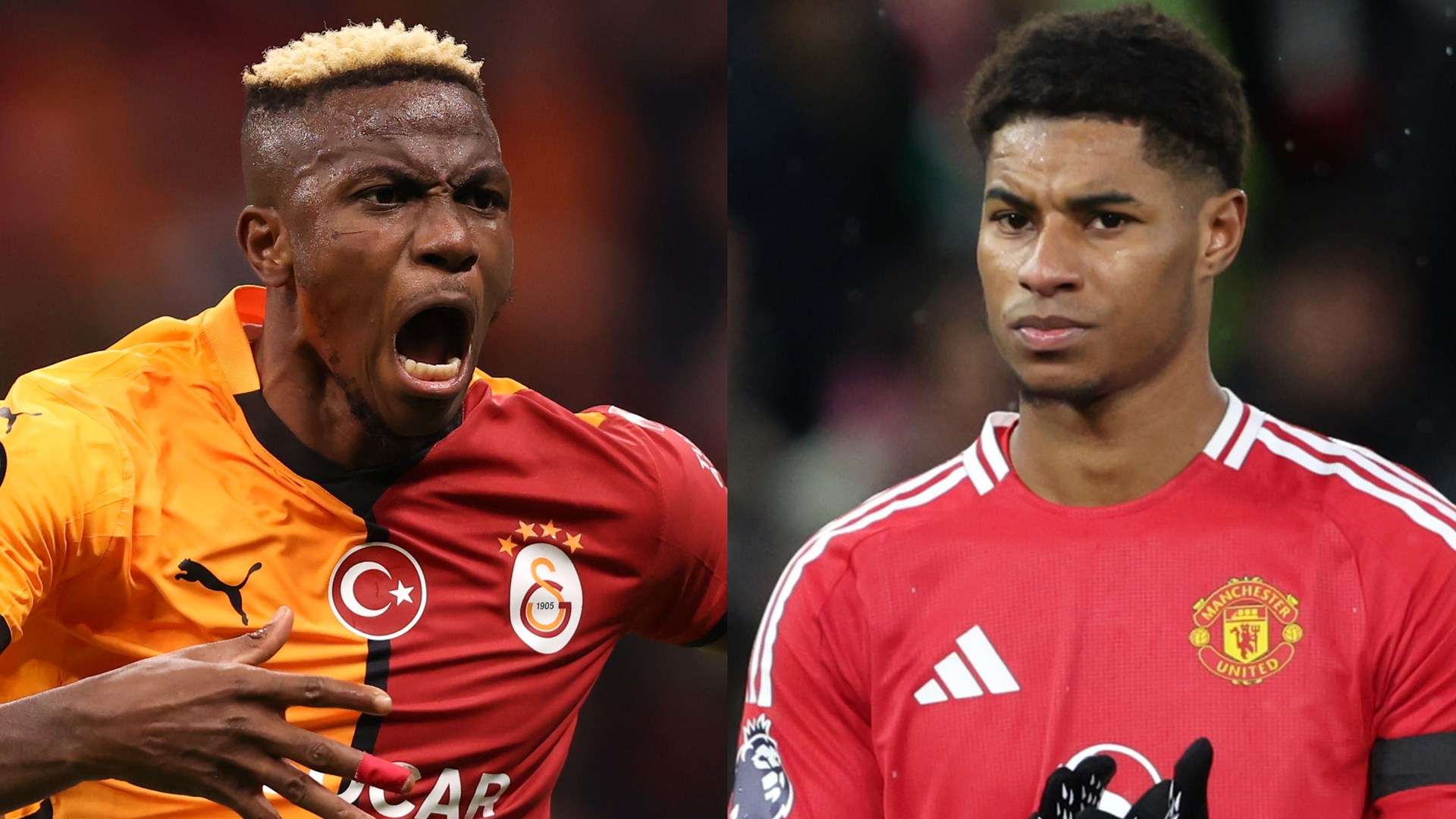 汇聚了来自 汇聚了来自